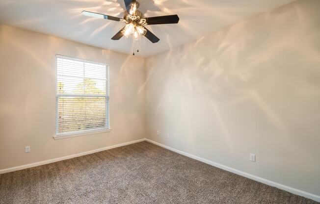 Lighted Ceiling Fan at Kingwood Glen, Kingwood