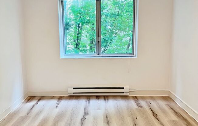 1 bed, 1 bath, 533 sqft, $1,375, Unit 403