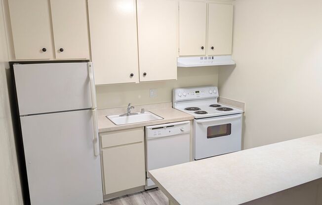 1 bed, 1 bath, 531 sqft, $1,500, Unit 161124