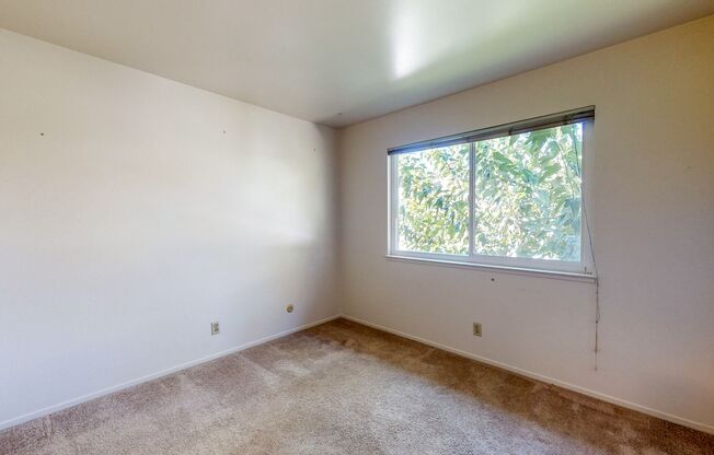 2 beds, 1 bath, $2,300