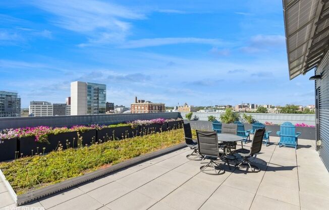 Studio, 1 bath, 266 sqft, $1,130, Unit #202