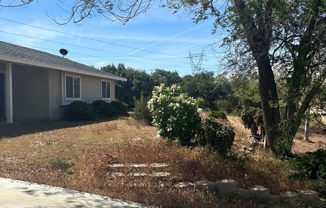 House for rent