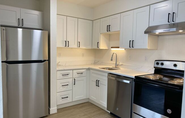 1 bed, 1 bath, 491 sqft, $1,055, Unit Unit 210