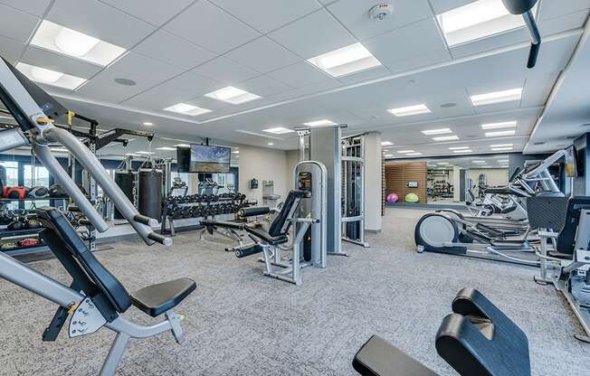 Large Fitness Center and Gym