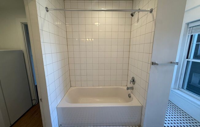 Studio, 1 bath, 295 sqft, $835, Unit Old King Edward 351