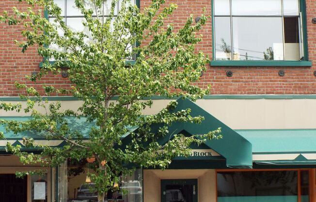 Fremont Apartments - Located on Fremont Ave