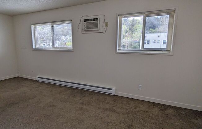 Studio, 1 bath, 350 sqft, $995, Unit 307