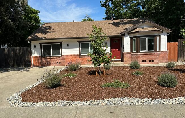 Completely Remodeled 3 bed/2 bath Home - 1402 Clara