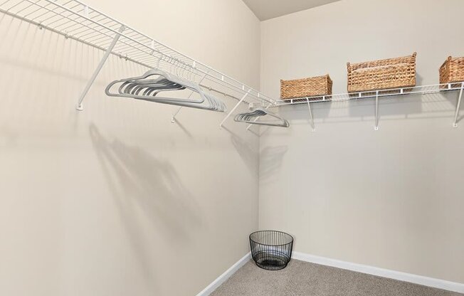 wire shelving and hangers in a large walk-in closet