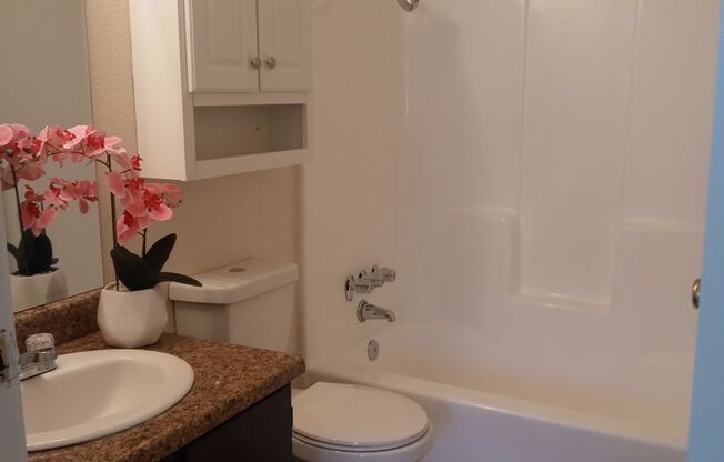 1 bed, 1 bath, 620 sqft, $1,200, Unit 3220 E