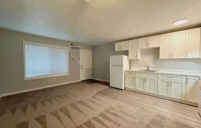 1 bed, 1 bath, 480 sqft, $1,095, Unit 1020-C