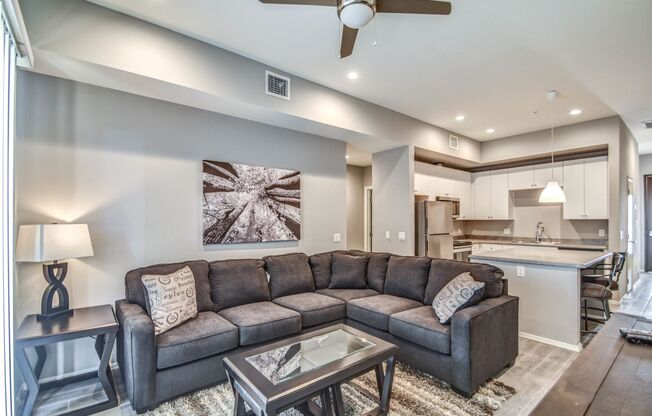 Furnished 1 bed / 1 bath in a 4 bedroom apartment in Tempe!!!!