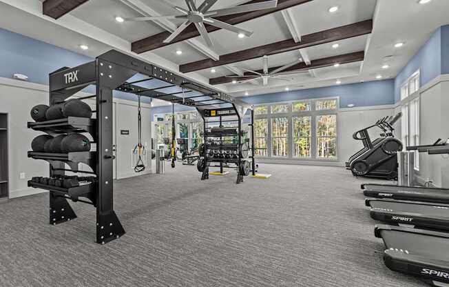 A gym with a TRX suspension trainer and a row of treadmills.