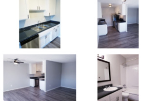 Partner-provided photo for $1445 unit