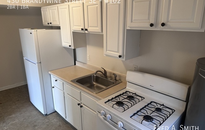 430 BRANDYWINE ST SE