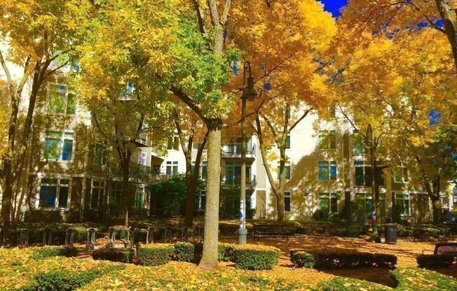2 beds, 2 baths, 1,175 sqft, $4,500, Unit 302