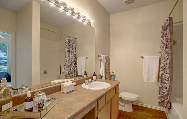 a bathroom with a sink and a toilet and a mirror