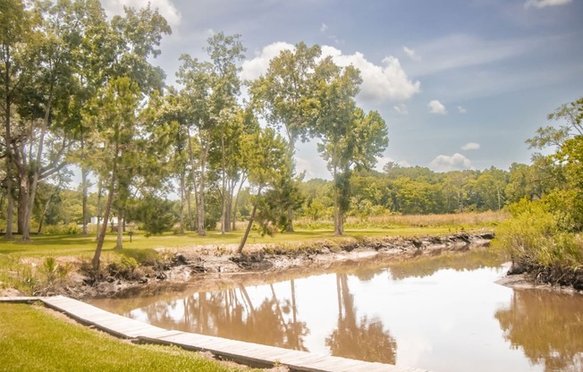 The Element at River Pointe apartments in Jacksonville Florida photo of beautiful pond