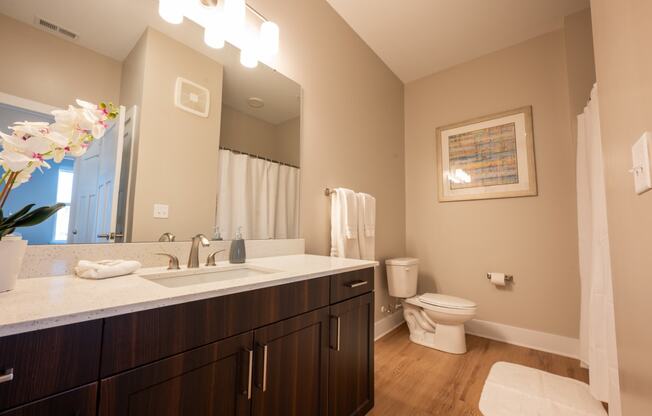 a bathroom with a sink and a toilet and a mirror