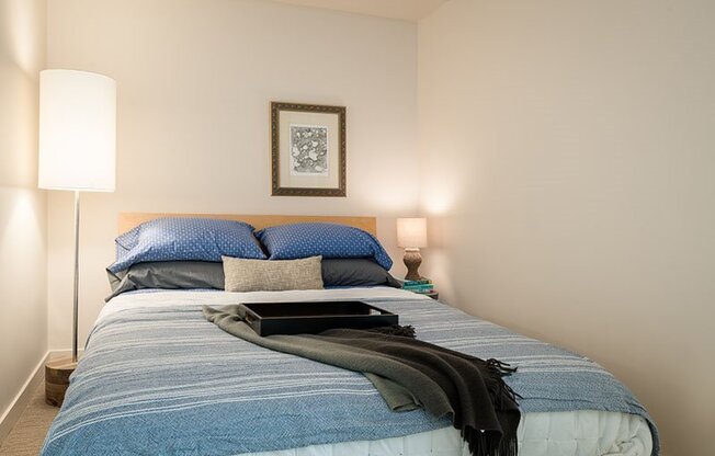 1 bed, 1 bath, 535 sqft, $1,895, Unit 205