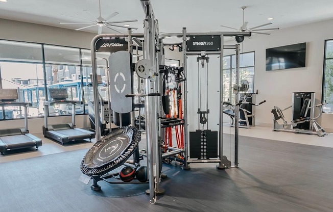 A gym with a SYRRO 250 weight machine.
