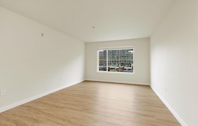 1 bed, 1 bath, 593 sqft, $1,895, Unit 505