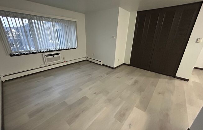 Studio, 1 bath, $875, Unit 320