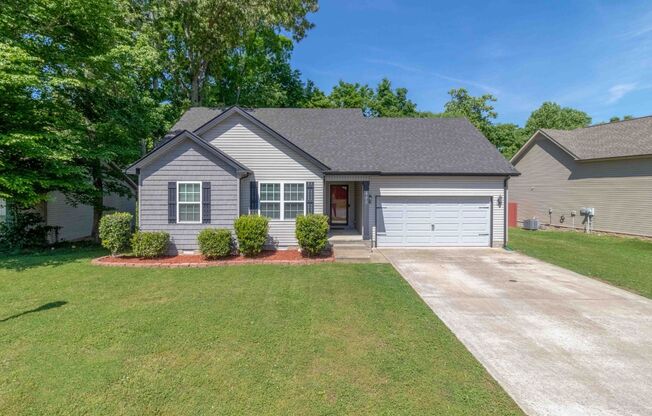 3 Bedroom 2 bath Pet Friendly Home For Rent!