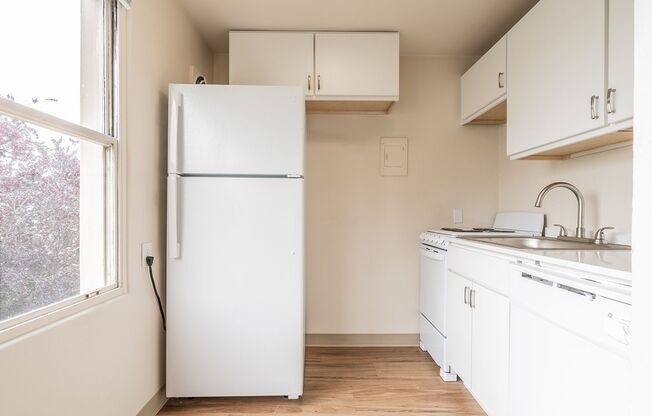 Studio, 1 bath, 423 sqft, $1,575, Unit 704