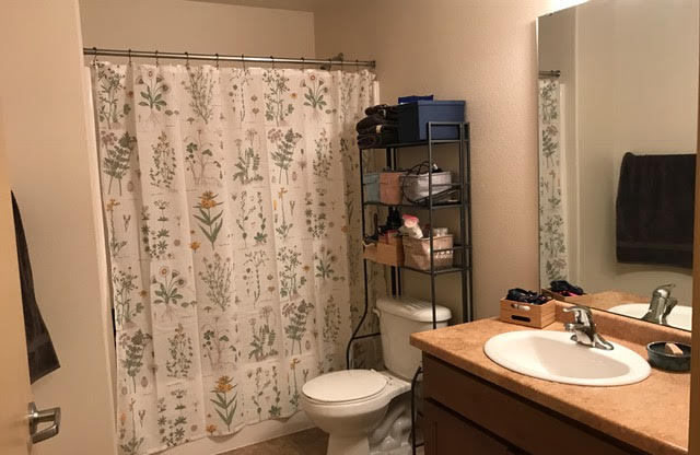 Studio, 1 bath, 454 sqft, $725, Unit 311