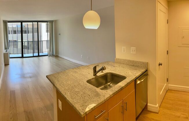 Studio, 1 bath, 440 sqft, $2,700, Unit 0803