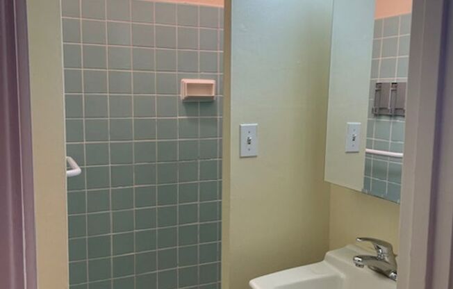 Studio, 1 bath, 275 sqft, $915, Unit 518