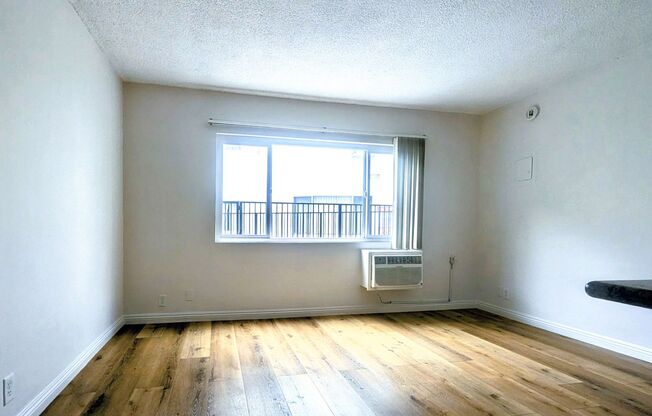 Studio, 1 bath, 263 sqft, $1,299, Unit 109