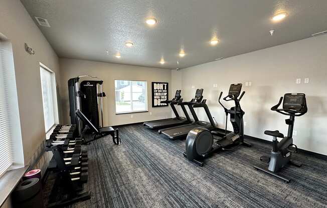 a gym with cardio machines and weights on a carpeted floor