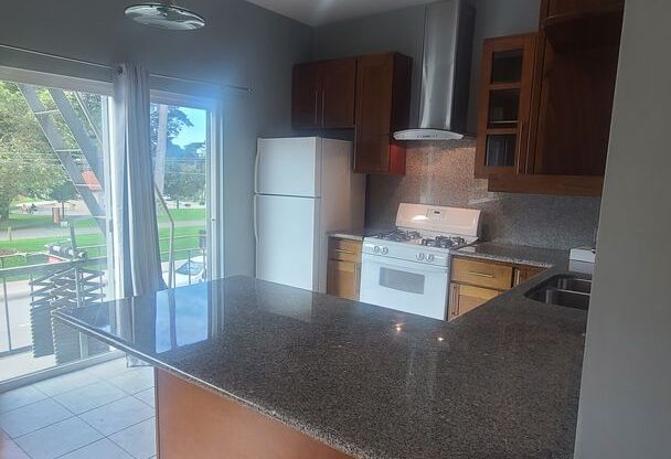 1 bed, 1 bath, $2,850, Unit #2