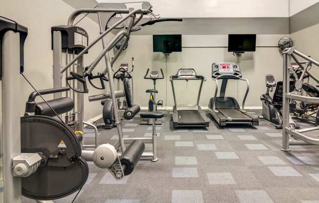 fitness center- cardio machines, weighted machines