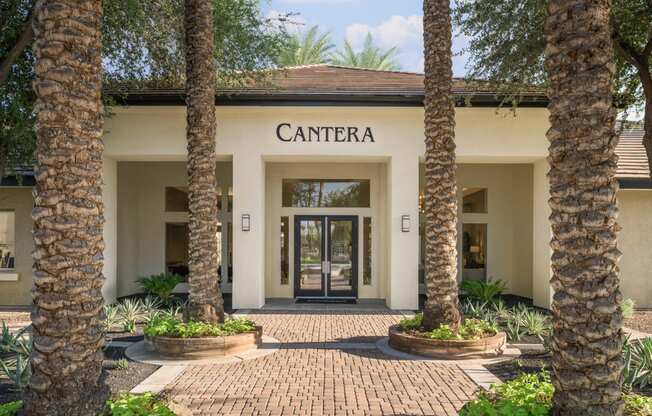 the entrance to the cantera building with palm trees