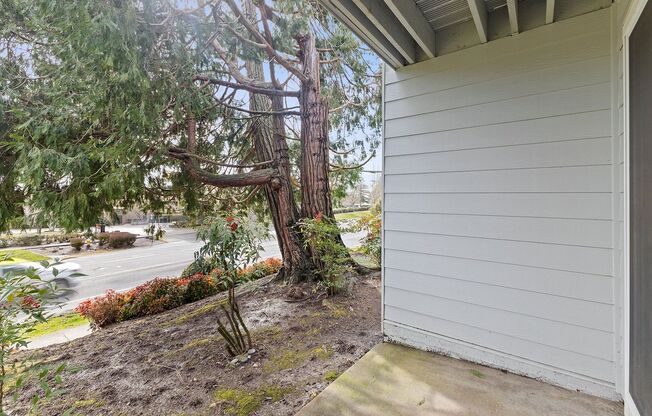 2 beds, 1 bath, 803 sqft, $1,575, Unit CMV 12215 - 101