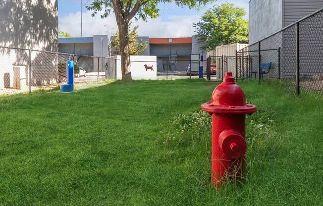 Community Dog Park with Agility Equipment at Indigo Park Apartments in Albuquerque, NM.