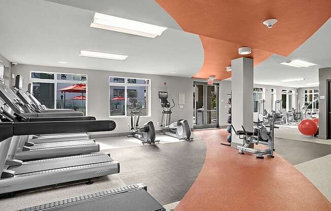 a gym with treadmills and other exercise equipment