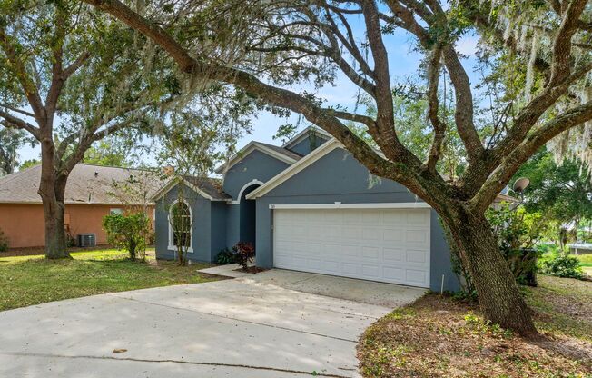 Big 4/2/2 SFH, No Rear Neighbors, Wood Flooring Throughout