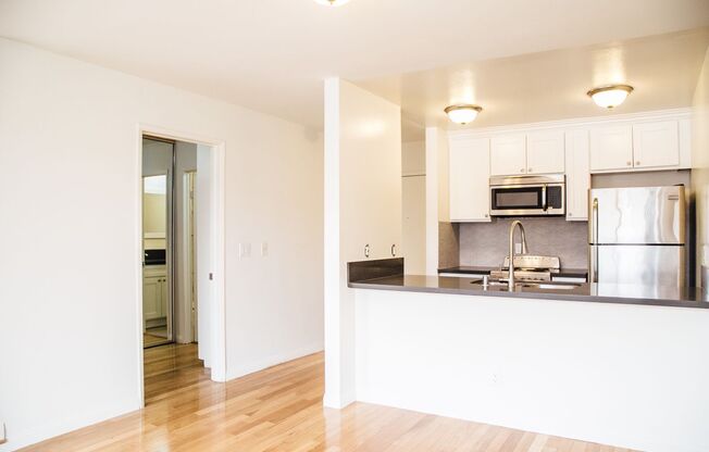 Studio, 1 bath, 481 sqft, $2,400, Unit 205