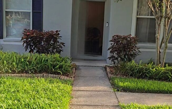 SPACIOUS, BEAUTIFUL 3 BEDROOM 2.5 BATH TOWNHOME IN RIVERVIEW & INTERIOR PAINTING IN PROCESS