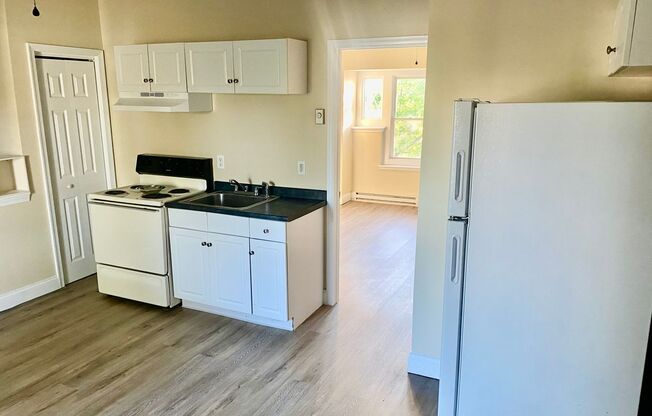 1 bed, 1 bath, 500 sqft, $1,025