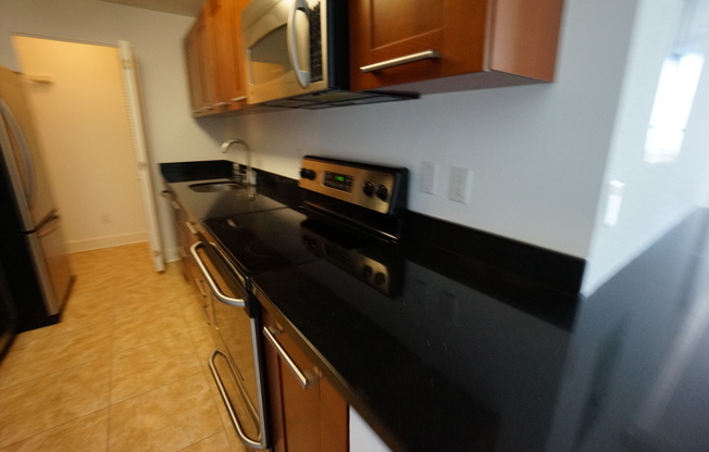 2 beds, 2 baths, 1,287 sqft, $3,000, Unit PH101