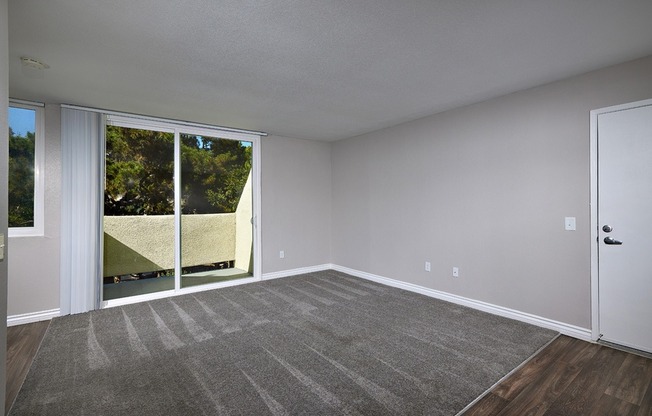 Two bedroom living room and balcony