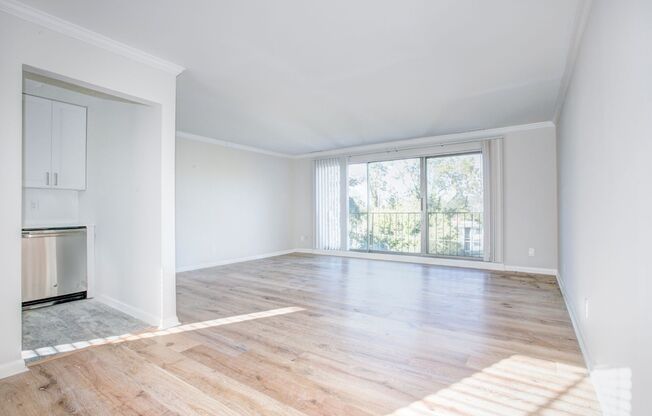 Renovated 2 Bed on Bladensburg Rd. NE!  Apply Today!