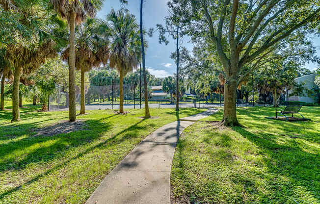 a path through a park with trees and benches