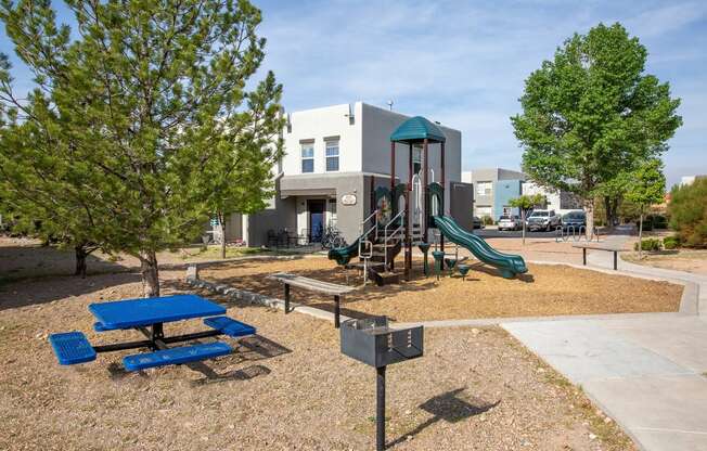 BBQ Grill and Playground Area at The Bluffs at Tierra Contenta Apartments