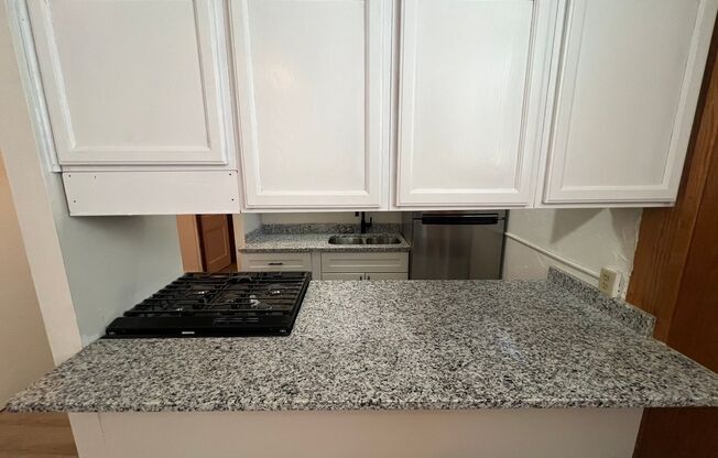 1 bed, 1 bath, 440 sqft, $960, Unit 100